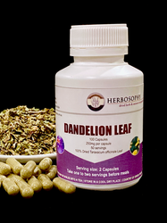 Dandelion Loose Leaf tea, powder and capsules.