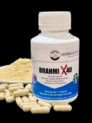 Brahmi X40 (40% Bacosides)