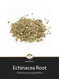 Echinacea Root Loose Herb @ Herbosophy