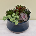 8" Teal Succulent Planter