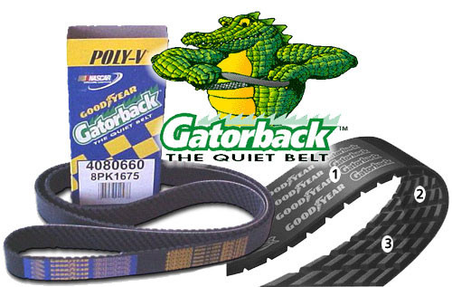 gator belt the quiet belt