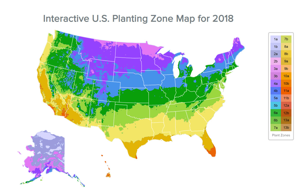Любом климатической зоне. Зона USDA 3. USDA Zones Plant Hardiness. USDA 8 климатическая зона. Plant Hardiness Zone Map.