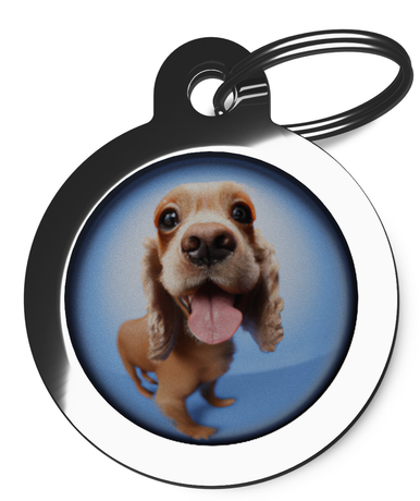 Tags for Cocker Spaniel's Fisheye Design