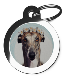 Tags for Greyhound's