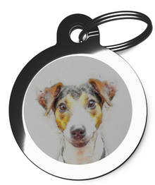 Dog Tags for Jack Russell's