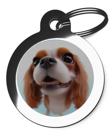 Pet Tag for King Charles