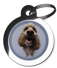 ID Tags for Labradoodle's Fisheye Design