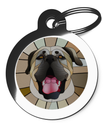 Stained Glass Dog ID Tag for Mastiff's