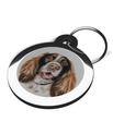 Dog Tags for Springer Spaniel's Portrait Design