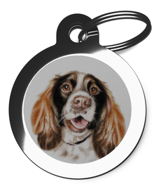 Dog Tags for Springer Spaniel's Portrait Design