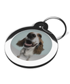 Dog ID Tags for Springer Spaniel's Fisheye Lens