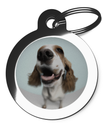 Dog ID Tags for Springer Spaniel's Fisheye Lens