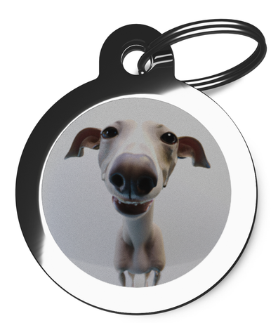 Dog Tags for Dogs Whippet Fisheye Lens