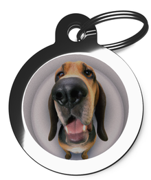 Bloodhound Fish Eye Lens Dog ID Tag