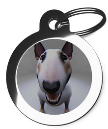 Bull Terrier Fisheye Lens Pet Name Tag