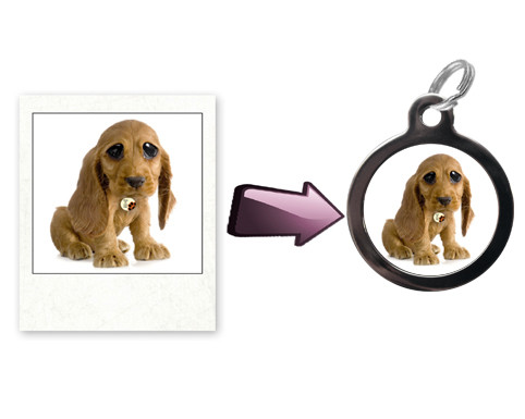 make your own pet id tags
