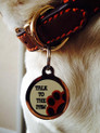 Dog Tag for Dogs