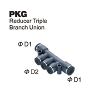 Push-To-Connect Fitting - Reducer Triple Branch Union