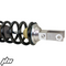2019-2026 Suzuki RM-Z250 Shock Revalve