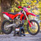 2026 Ducati Desmo450 EDX