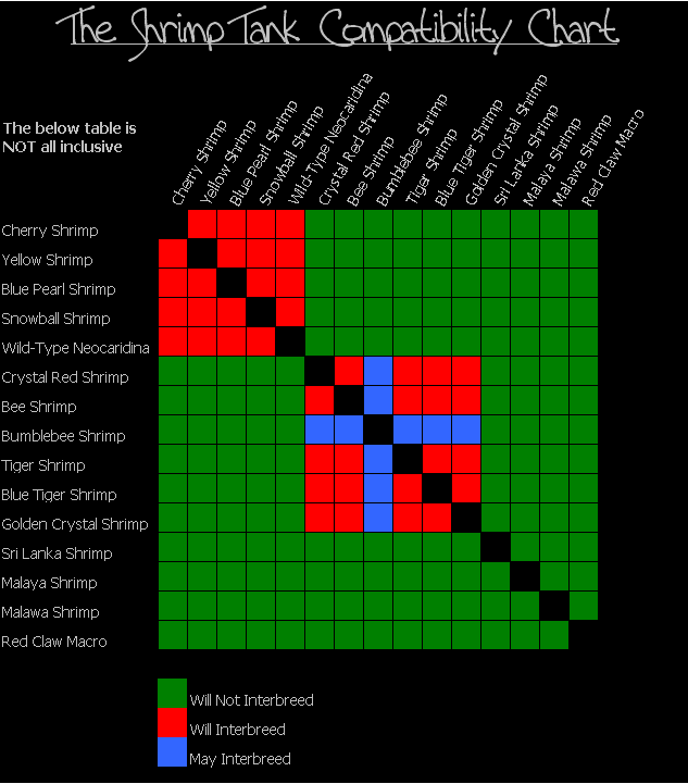 Tiger Compatibility Chart