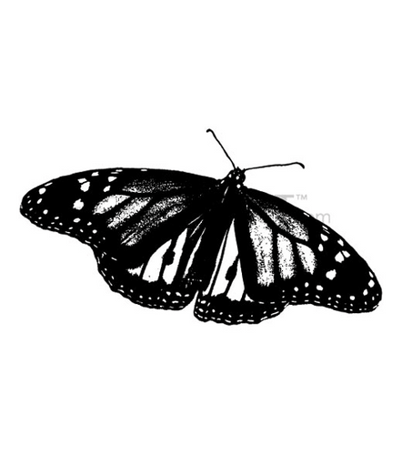 Download Buy vector monarch butterfly royalty-free illustration