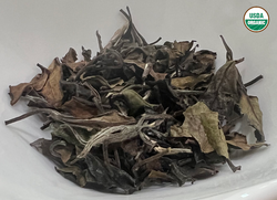 Organic Mountain White Peony Tea (Bai MuDan) 