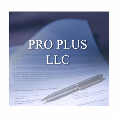 The Professional Plus LLC package is for Attorneys, CPAs, and Financial Advisors who need only the bare minimum of service and want to handle many of the details themselves and wish to retain us as Nevada Registered Agent. 