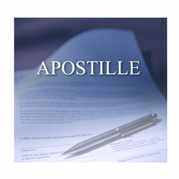 This Nevada Apostille will Certify documents for use in another country.