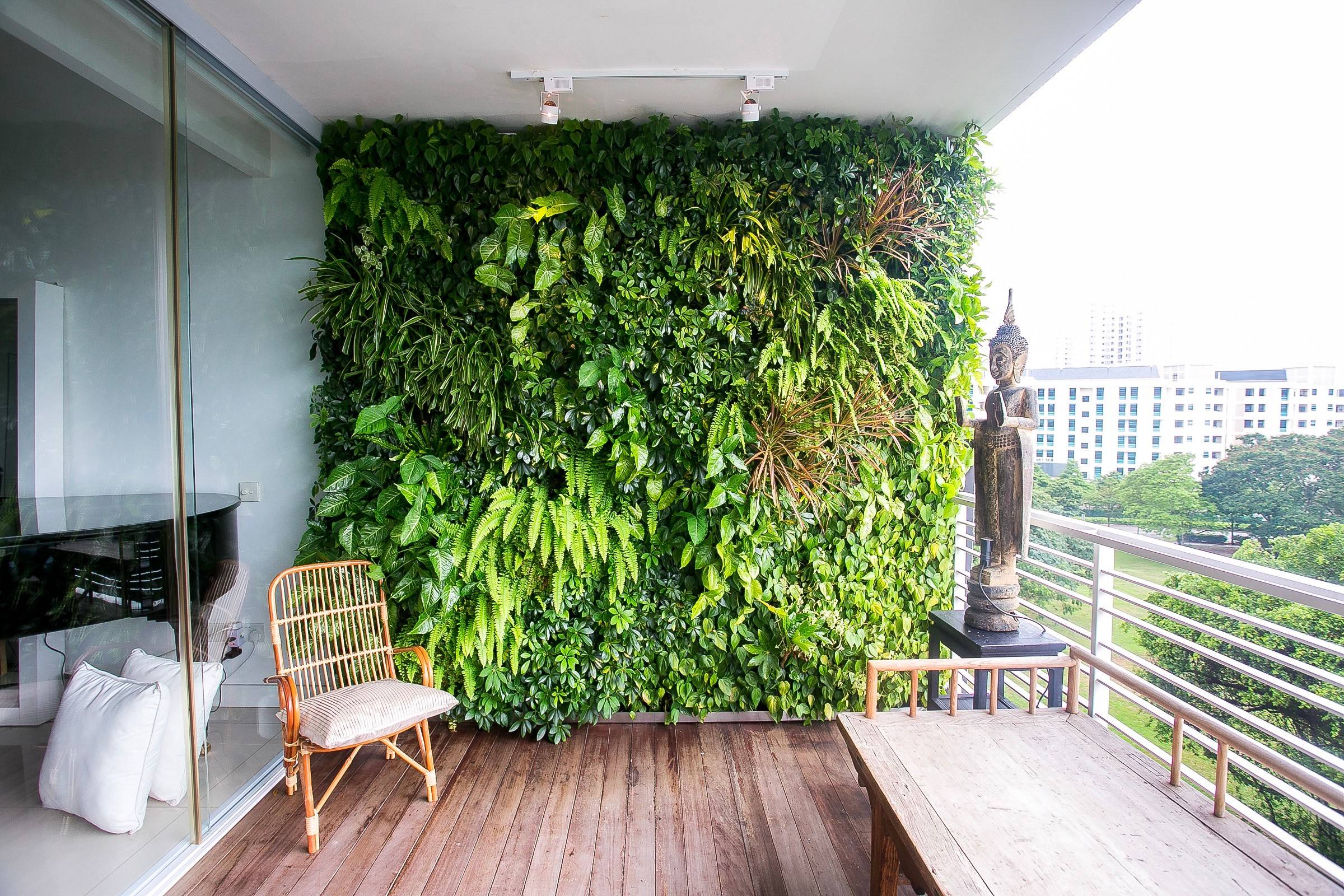 Плющ на кухне. Плющ обыкновенный фитостена. Зеленая стена на балконе. Вертикальное Озеленение балкона.