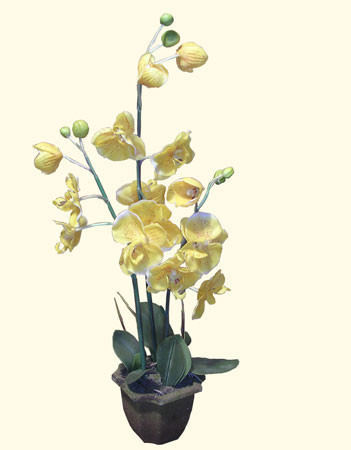Silk Yellow orchid with pot