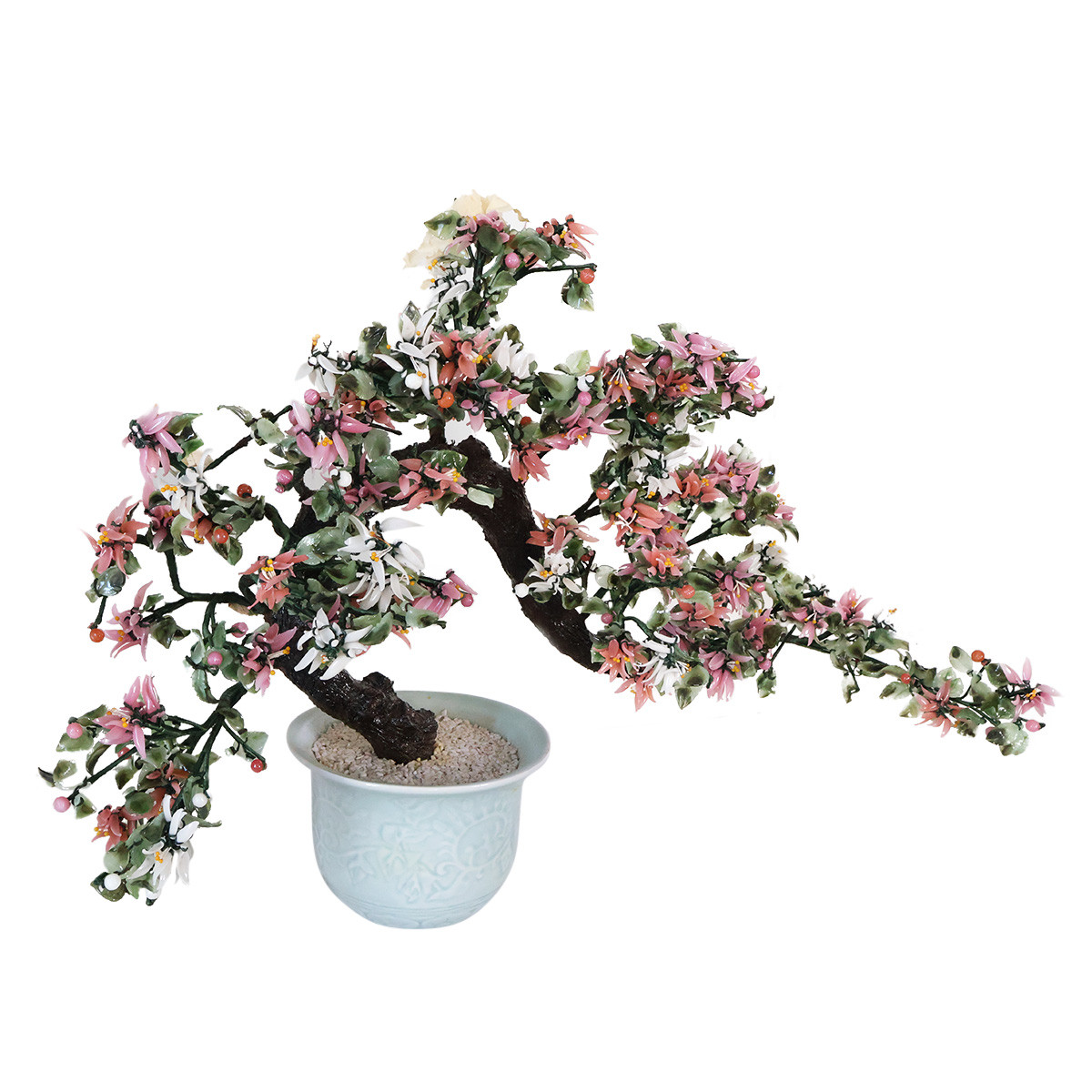 indoor shamrock plant Oxalis regnellii – False Shamrock