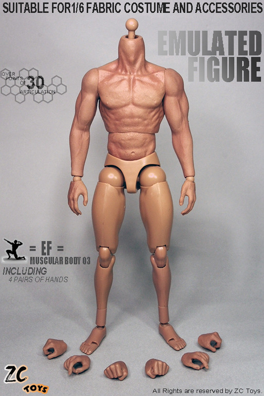 1/6 Scale ZC Toys 12" Muscular Figure 2.0 Body Hot Toys TTM19 Body 