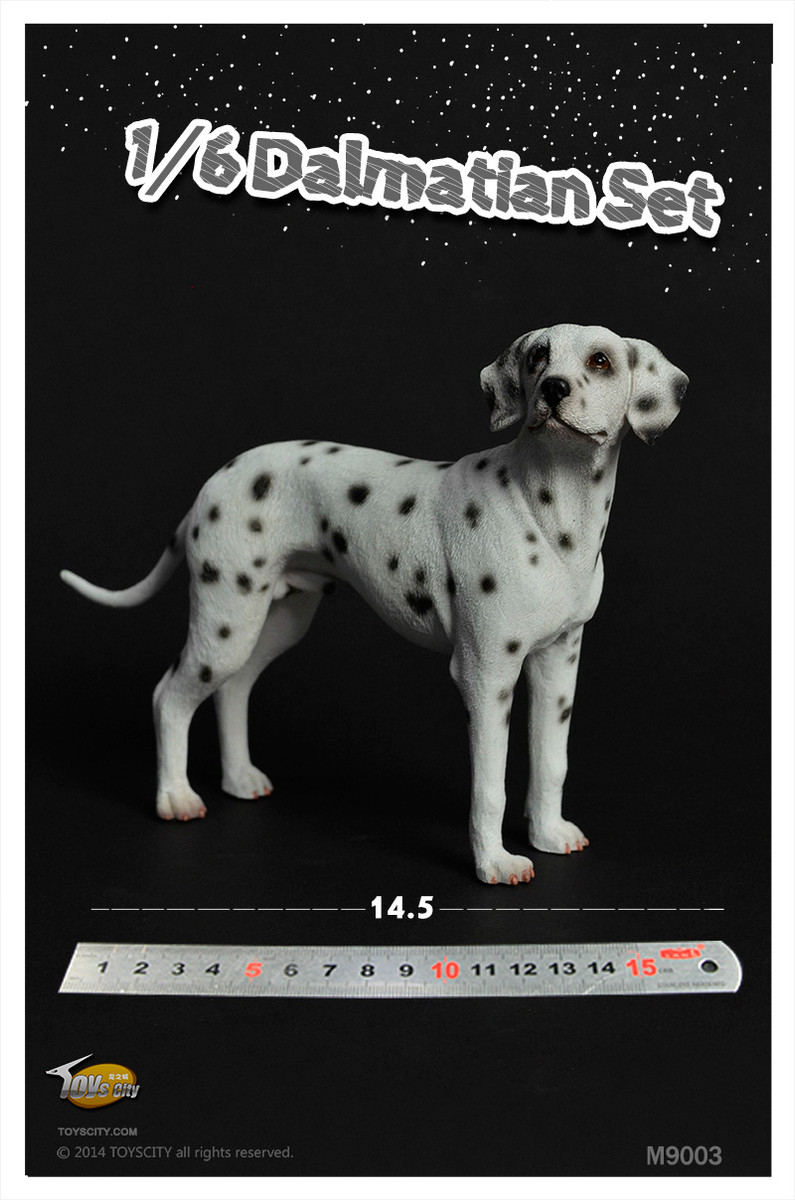 Toyscity TCM9003 Dalmatians Set Dog Model 1/6 FIGURE IN STOCK 