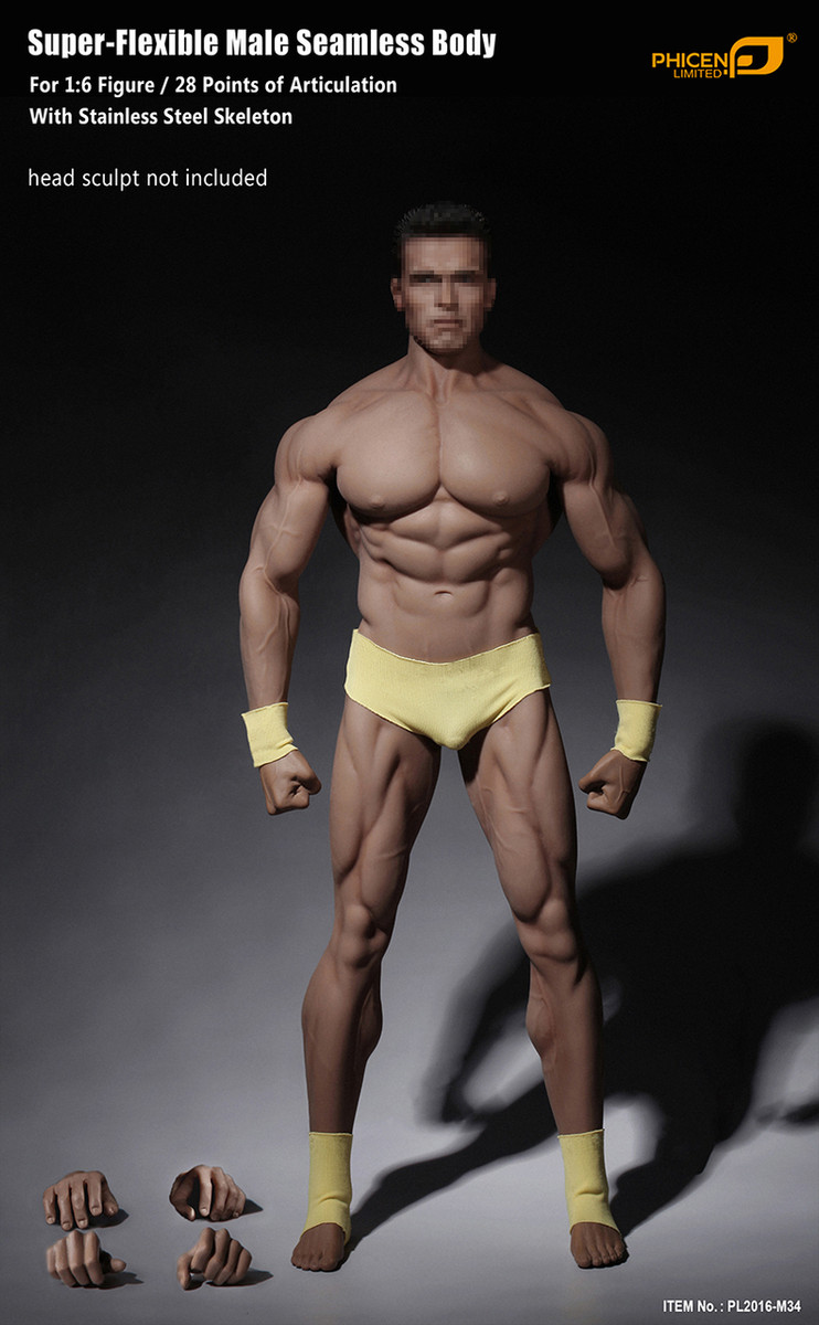 1:6 Phicen TBLeague PL2016-M33 Male Super Strong Seamless Stainless Steel Body