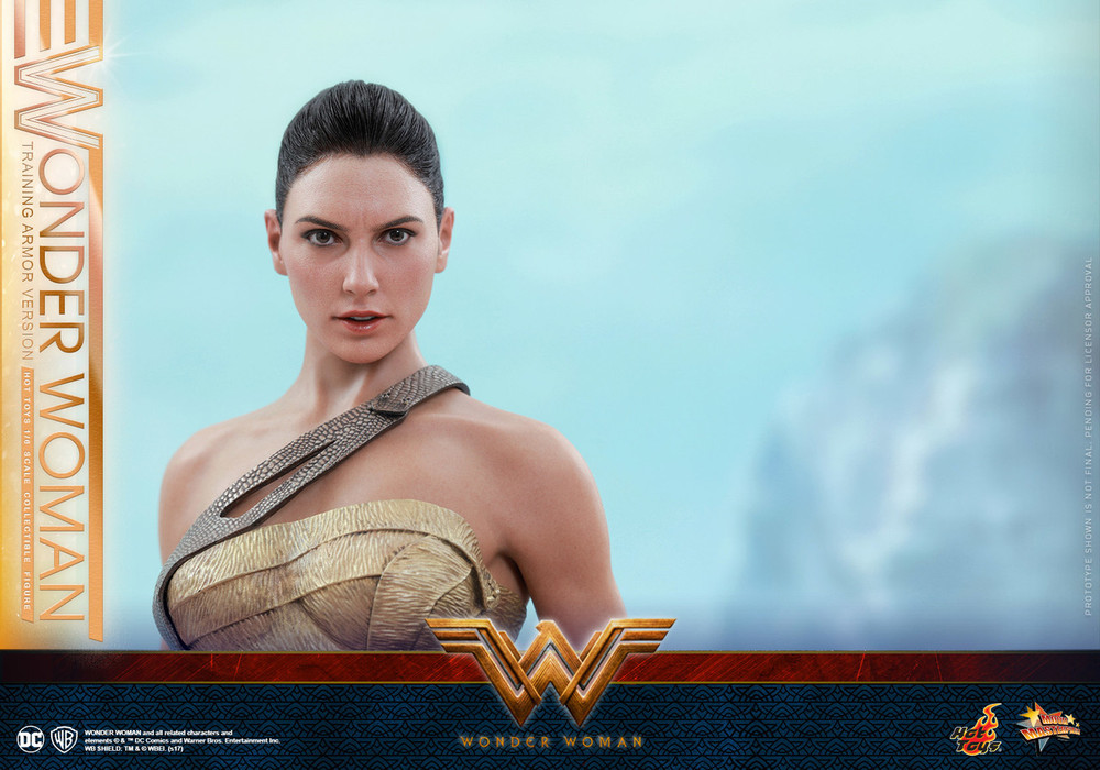 Hot Toys MMS424 Wonder Woman 1/6th scale Wonder Woman (Training