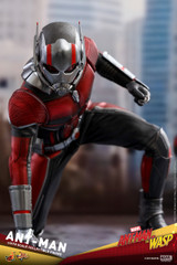 Hot Toys MMS497 Ant-Man - Ant- Man and the Wasp - 1/6th scale Collectible Figure