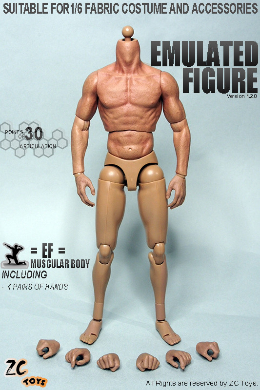 US ZC Toy 1/6 Scale Muscular Body Fit 12" Hot Toys Model Male Figure Head Sculpt