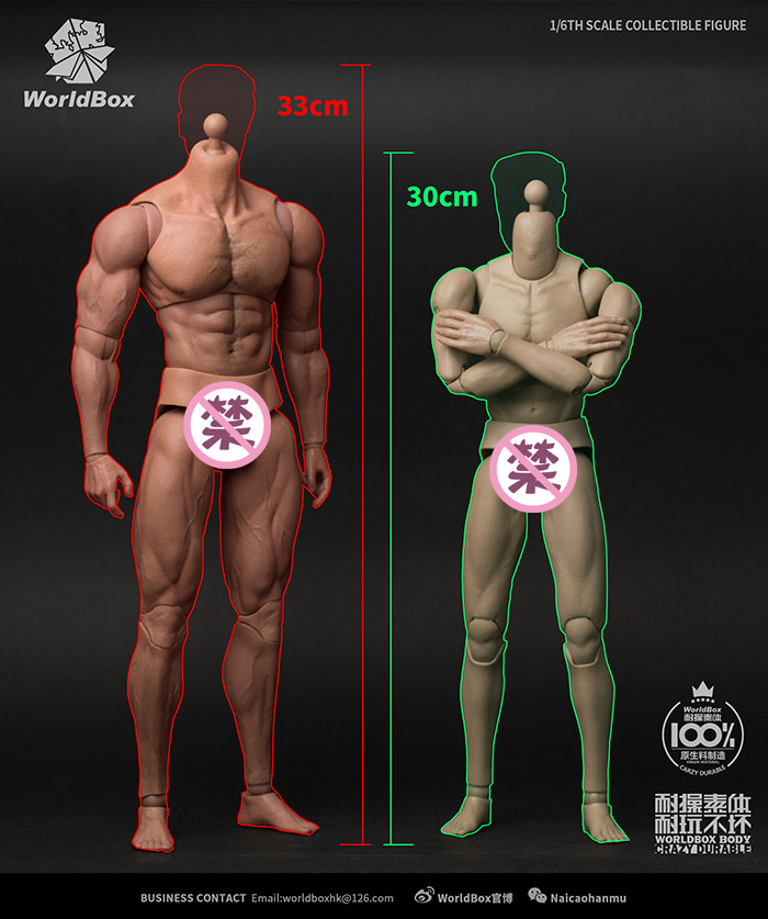 WorldBox AT027 Ripped Durable Strong 1/6 Body