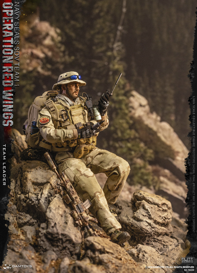 GRENADE、LIGHT SET Details about   Y61-25 1/6 scale DAMTOYS 78069 Operation Red Wings