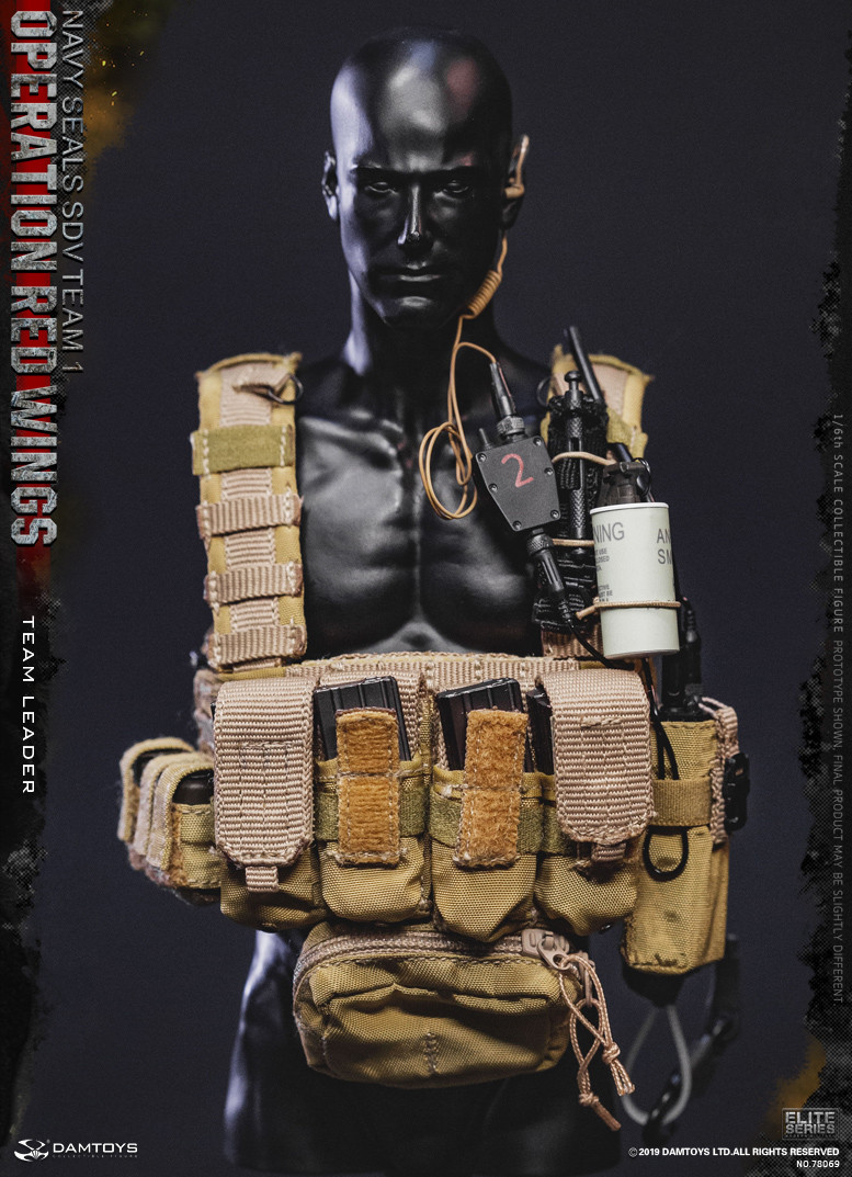 DAMTOYS 78069 1/6 Operation Red Wings -NAVY SEALS SDV TEAM 1 Team