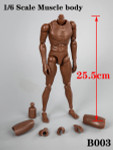 B003 1/6 body joints and articulation range dark skin tone