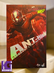 Hot Toys MMS497 Ant-Man Ant- Man and the Wasp  1/6th scale Collectible Figure