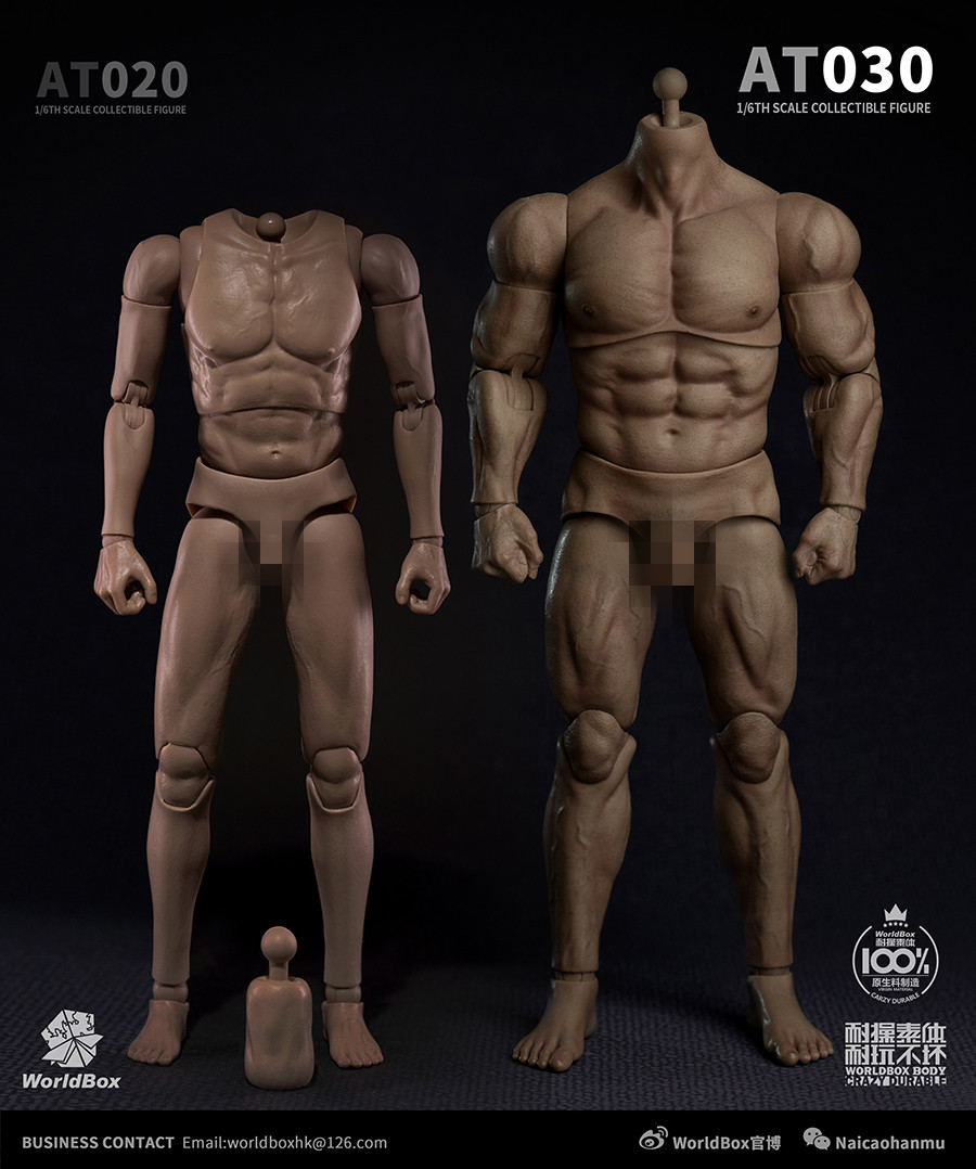 For 1/6 Head Sculpt WorldBox AT011 12" MALE Muscular Male Body Figure Model Ver