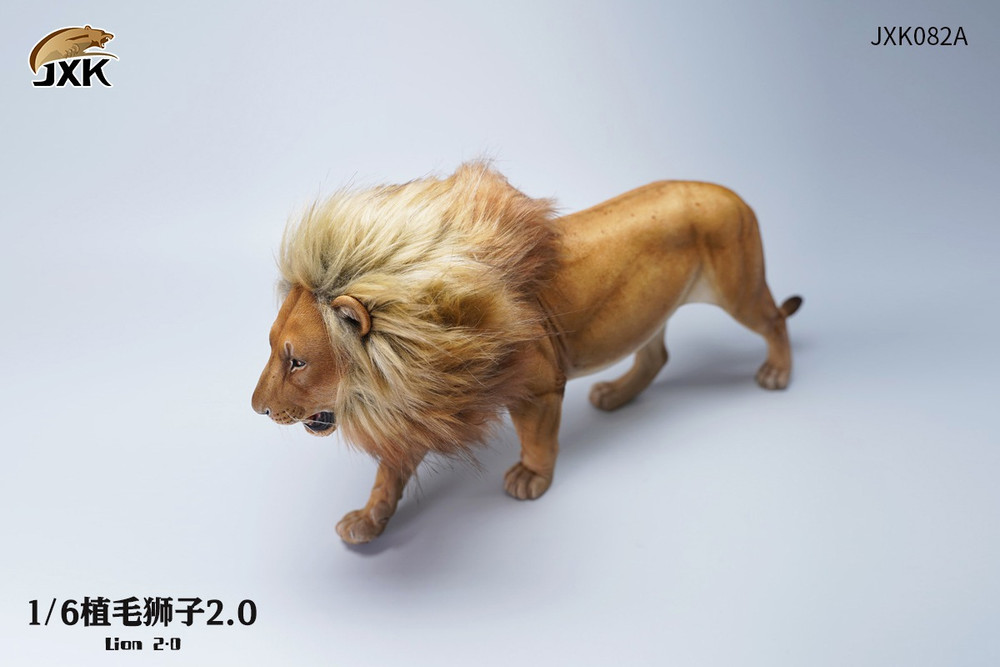 JXK Lioness メスライオン 1/6 フィギュア JXK154B JXK 1/6 Lioness Model – Lana Time Shop