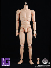 Toys City TTL 1/6 Scale 12" Caucasian Male Nude figure Body T3.0 Light skin tone
