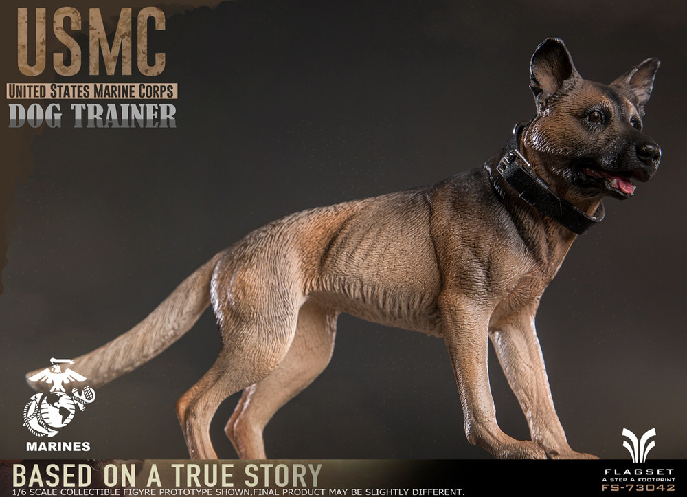 FLAGSET 1/6 女 犬調教師（FS-73042） アクションフィギュア FLAGSET】FS-73042 1/6 USMC Dog Trainer アメリカ軍 アメリカ海