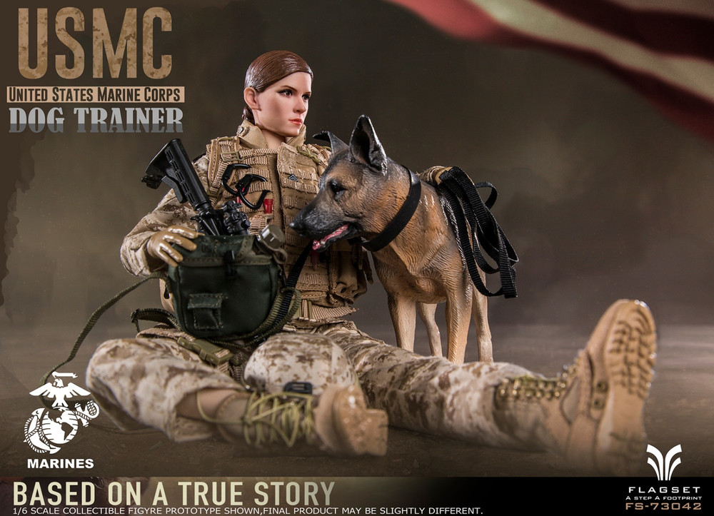 FLAGSET 1/6 アメリカ軍 アメリカ海兵隊 ドッグトレーナー 女性兵士 Amazon | FLAGSET 1/6 アメリカ軍 アメリカ海兵隊 ドッグ