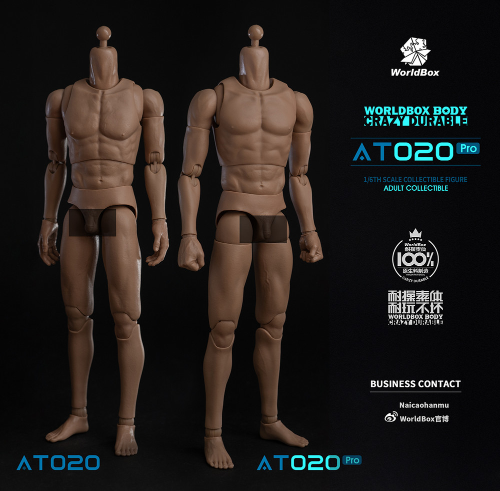 Worldbox AT020 PRO 1/6 Scale Male Figure Body