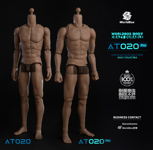 Worldbox AT020 PRO 1/6 Scale Male Figure Body